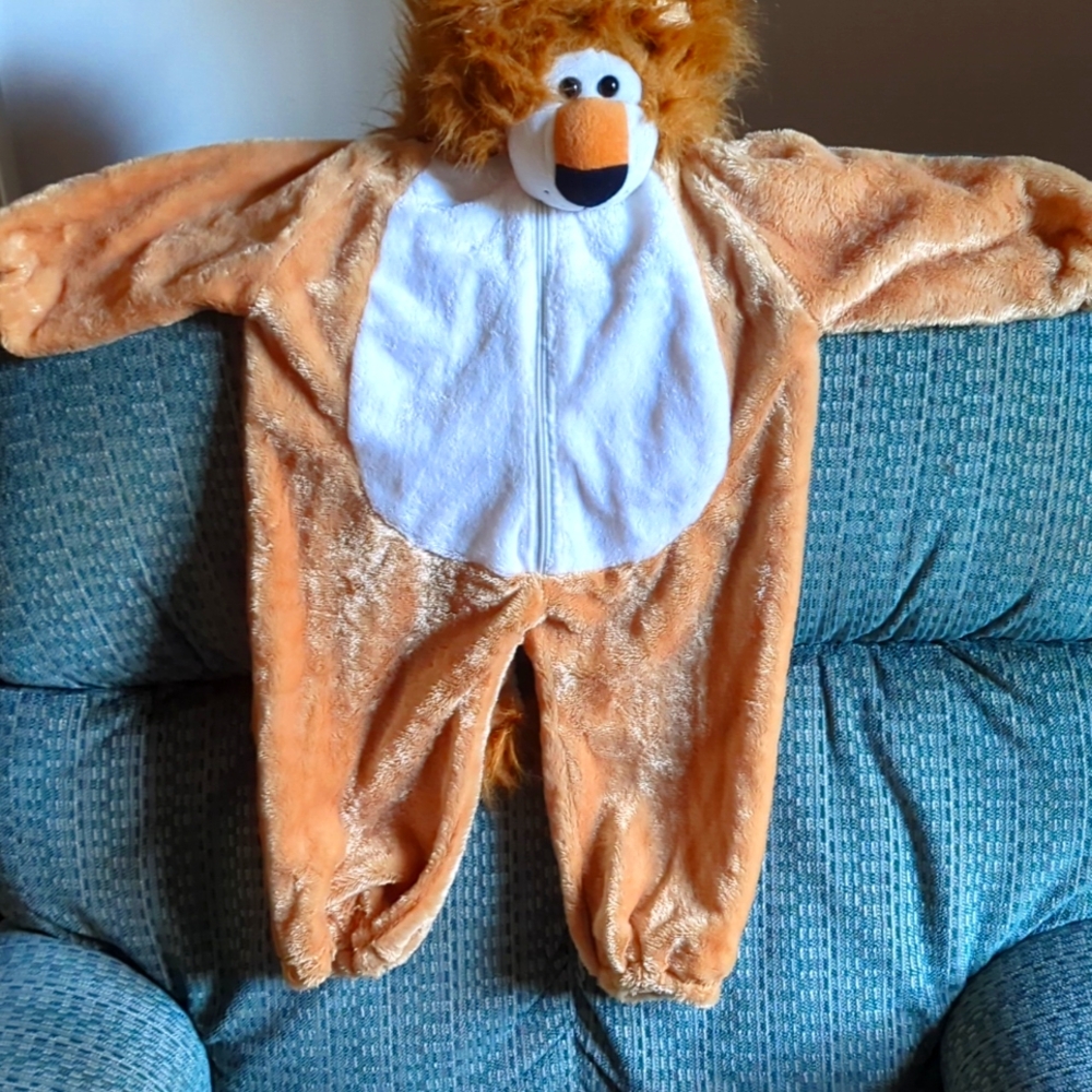 Lion Costume
